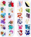 iFancer 108 Pcs Dried Flowers for R