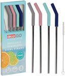 Decor Go Reusable Stainless Steel Straws Pack of 4 Pieces