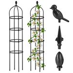 Garden Obelisk Trellis for Climbing Plants Outdoor 6 Ft Rose Bush Round Trellis for Pots Rustproof Metal Plant Flower Trellises for Clematis Vine Jasmine Support Outdoor Indoor