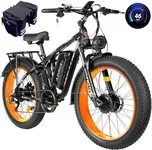 Peak 5000W-Electric-Bike for Adults