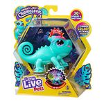 Little Live Pets - Bright Light Chameleon: Sunny - Interactive Pet That Changes Color! Over 30 Sounds and Emotions, Ready to Play!