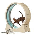 Homegroove Cat Wheels for Indoor Cats, Cat Exercise Wheel Treadmill with Carpeted Runway, Cat Running Wheel for Kitty’s Longer Life, Fitness Weight Loss Device, (XXL, Natural Wood)