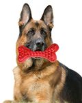 Chew Toy For German Shepherd