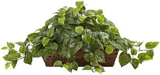 Nearly Natural Pothos with Ledge Basket, Green