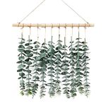 Alynsehom Artificial Eucalyptus Wall Hanging Decor Greenery Boho Chic Home Decorations Farmhouse Rustic Plants with Wooden Stick for Bedroom Living Room Apartment Ornament Gift (Green-1)