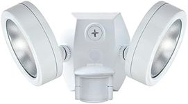 RAB Lighting LESLIE SMS BULLET FLOO