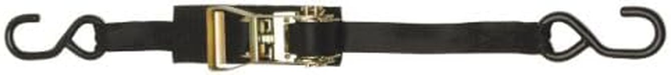 BoatBuckle Ratchet Transom/Utility Tie-Down, 1-Inch x 3.5-Feet