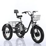 Adults Electric Tricycle with 500W 48V Removable Battery, 20" Fat Tire Electric Bike for Seniors Low Step-Through Motorized Trike with Large Back Basket for Men and Women, Camping Picnics