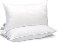 East Coast Bedding Cozy Dream Goose