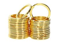 Tupalizy 1 Inch Round Flat Key Chain Rings for Women Dog Tag Collar Leash Metal Split Keychain Ring Organization for Home Office Car Keys Attachment Arts Crafts Project Belt Lanyards, 25PCS (Gold)