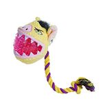 Nocciola Thorn Ball Pig Shape Dog Squeaky Toys for Aggressive chewers, Durable Plush Dog Toys, Stuffing Body Dog Toy Set for Small to Large Dogs