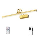 RAIFOOLLY Picture Light, 16in Battery Operated Picture Lights for Paintings,Metal Remote Control Display Art Light with Timer and Dimmable for Wall Painting,Frame, Portrait, Dartboard-Brass