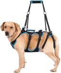 Lafoty Dog Lift Harness for Large M