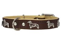 Dogs My Love Real Leather Soft Leather Padded Dog Collar Dachshund (10.5"-12" Neck; 3/4" Wide, Brown/Beige)