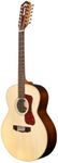 Guild Guitars F-1512 12-string Acou