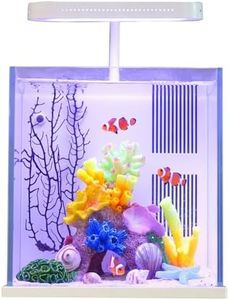 QANVEE Betta Nemo Fish Tank Small Aquarium Starter Kit with Filter and Light Low Iron Ultra Clear Glass 2 Gallon(Saltwater White)