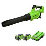 Greenworks Cordless Leaf Blower, Axial Brushless Motor Lightweight Leaf Blower 210km/h 15m3/min with 2x40V Batteries & Charger, Electric Leaf Blower Cordless Garden Blower, 3 Year Guarantee GD40ABK2X