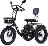 NARRAK Electric Tricycle for Adults Seniors, 750W Fat Tire 3 Wheel E-Trike, 48V 13Ah UL 2849 Battery, 55-Mile Max Range, Semi-Recumbent Trike with 3 Hydraulic Brakes (Premium Model, N8-Black)