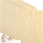 Yopay 15 Pack Basswood Sheets for Crafts, Unfinished Thin Wood Board for DIY, School Projects, Boat Arts, Drawing Painting, Wood Engraving Plywood Sheets, 12x8x1/16"