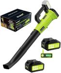 Leaf Blower Cordless, 2 x 5.2Ah Bat