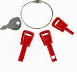 Universal Snow Blower Key Set （4 Pcs /w Ring） Compatible with PowerMore Troy-Bilt Craftsman Briggs & Stratton Craftsman Tecumseh Snow King