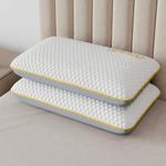 SleepyCat Marshmallow Pillow - Medium Soft with Bamboo Fabric Zipper Cover, Pefect for All Sleepers, White Soft Pillow, 2 Piece (Standard Size, 25x16 inches)