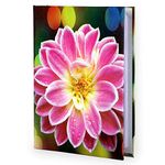 Sehaz Artworks Photo Album Book Baby Photo Album 6x8 Holds 100 Photos Polaroid Photo Albums - Pink Flower