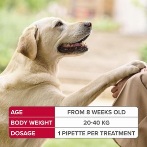 Beaphar FIPROtec Spot-On for Large Dogs – Flea & Tick Treatment