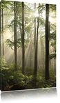 Pixxprint Sunbeams in the forest 120x80cm canvas art print mural