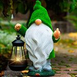 Garden Gnome 11.8, Funny Gnomes wit