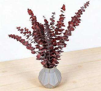 FGCJFTHDRHDRG Dried Red Eucalyptus Stems - 20 Pcs 16 Inch Natural Branches for Shower Hanging, Wedding Decor, Home & Farmhouse Decor, DIY Arrangements