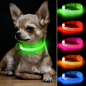 BSEEN LED 