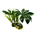 Komodo Jungle Canopy, Habitat Decor, Artificial Plant for Reptile, Reptile Plant, Terrarium Plant, Vivarium Plant, 1 Count (Pack of 1)