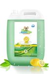 Natural Care Dishwash Liquid 5 Ltr | Lemon Dish Cleaning Gel for Dishwashing All Utensils | Plant Based, Biodegradable, Non-Toxic | Removes Tough Grease, Leaves No residue, Baby & Pet Safe. 5 Litre