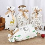 Desi Rang Paper 5 Pcs Pcs Merry Christmas Candy Gift Bags Xmas Santa Cookies Pouches New Year Décor (Green Pine Tree)