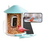 NETVUE Birdfy Smart Bird Feeder with Camera, Auto Notify, Record Bird Videos, Bird Feeder Camera for Close-up Birdwatching, Bird House, Mangeoire Oiseaux Exterieur, Gifts for Mom/Dad/Bird Lovers