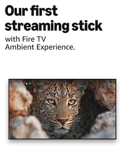 Fire TV Stick 4K Max Streaming Device – Alexa Voice Remote