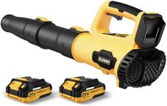 LEAPUL Leaf Blower, 21V Electric Co