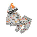 Infant Baby Boys Clothes Sets Dinosaur Cartoon Long Sleeve Hoodie Tops Pants 2pcs Sweatsuit Outfits Fall Winter Spring 9-12 Months