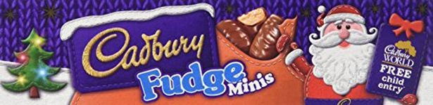 Cadbury Fudge Minis Chocolate Tube, 76 g, Pack of 12