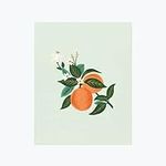 RIFLE PAPER CO. Orange Blossom Art 