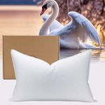 PlushHavenCloud White Goose Down Pillow Luxury Hotel Bed Pillow with 100% Natural 1000+ Fill Power, Natural Goose Feather Pillow for Sleeping, 700 Thread Count Cotton Shell, King Size- Soft, 1 Pack