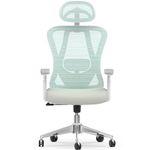 naspaluro Office Chair, Ergonomic Office Chair, Desk Chair with 2D Lumbar Support and 3D Headrest & 3D Armrest, Home Office Computer Chair with Hanger, Mesh Swivel Gaming Chair-Green