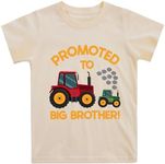 Big Brother T Shirt for Baby Boys Cotton T-Shirt Short Sleeve Tops Toddler Baby Announcement Tees Outfits 1-7 Years, Beige#7, 2-3T