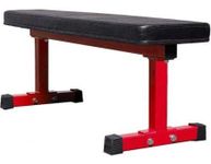 Bodyfit Fitness New Bench for Home Gym | Multi Adjustable Exercise Positions | Full Body Workout Weight Bench | Foam Soft Padding | Bench Press | Heavy Solid Steel Bench. (Flat Red Bench)