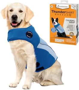 ThunderShi