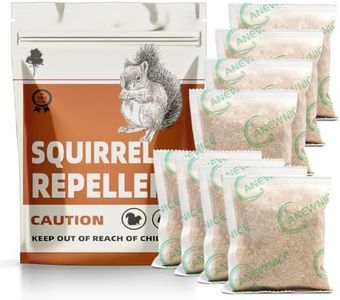 Squirrel R