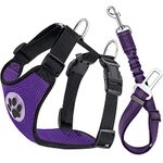 Lukovee Dog Seat Belt for Car, Adjustable Dog Car Harness for Large Medium Small Dogs, Soft Padded & Breathable Mesh Dog Seatbelt with Car Vehicle Connector Strap (Purple,X-Small)