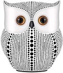 Xtore® Modern Classy Lucky Owl Resin Art Figure Showpiece -(Pack of 1, White)