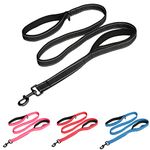 Double Handle Leash